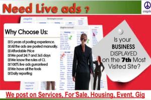 Portfolio for Classifieds ads posting in USA Cities